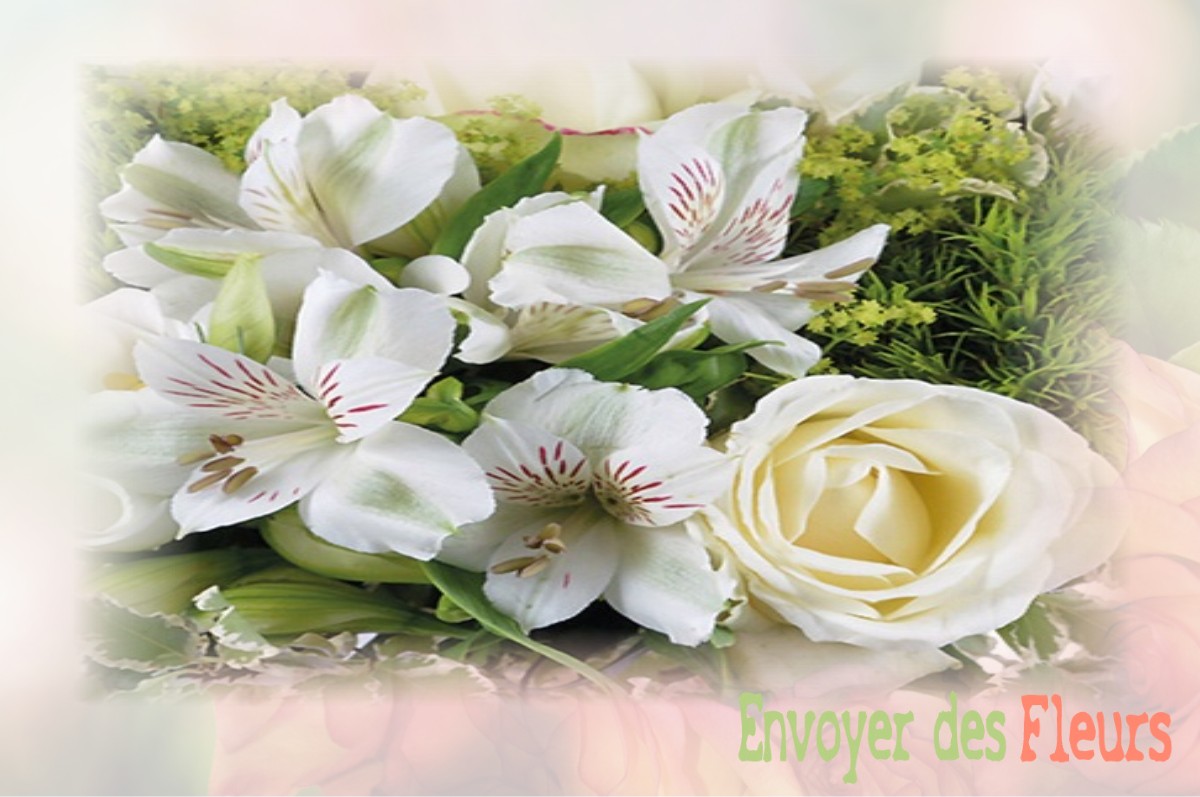 envoyer des fleurs à à SAINT-PIERRE-SUR-ERVE